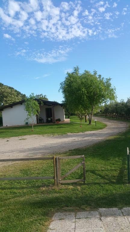 Agriturismo Arcobaleno Bagno Roselle Eksteriør billede